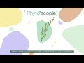 La phytoscopie par naturactive