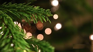 Beautiful Bokeh video celebration mood - Romantic piano music screenshot 2