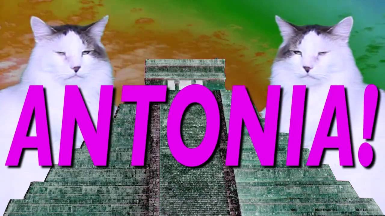 ¡FELIZ CUMPLEAÑOS ANTONIA! Canción Comica de Cumpleaños