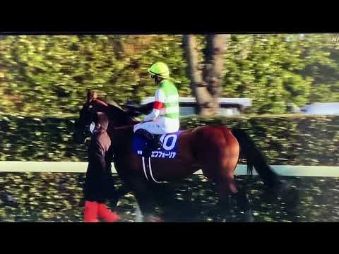 2021年 有馬記念 ファンファーレ🎶 NHKver