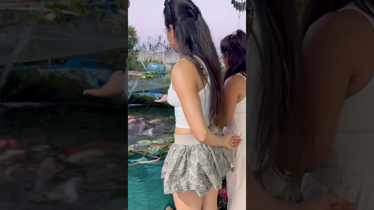 Looking for My Koi’s with Mami
