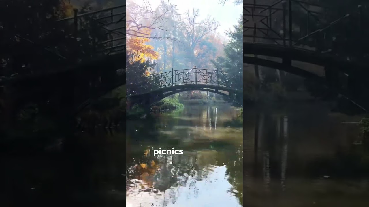 Comfort of sadness 😣