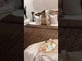 تفريشة عصرية لسرير عروسة 2023