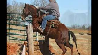Peeka Peps Bell - Obstacle Course