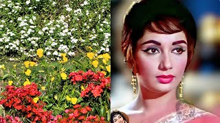 O Sajna Barkha Bahar Aayi | Monsoon Special 2025 | Lata Mangeshkar | Romantic Rain Song