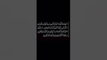 (عبدالرحمن مسعد) سوره العنكبوت ٥٥-٥٨