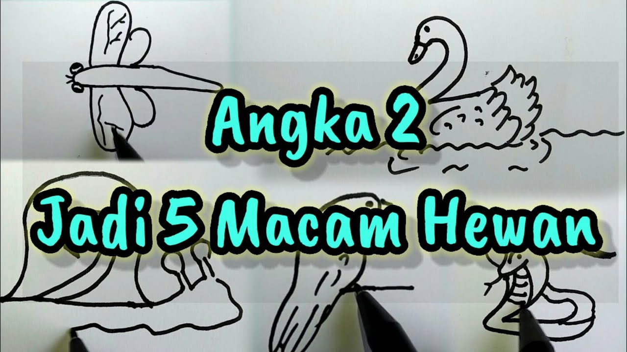  MENGGAMBAR  HEWAN  DARI  ANGKA  2 YouTube