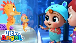 Baby John Vists The Aquarium! | Learning Animals | Little Angel Kids Songs And Nursery Rhymes