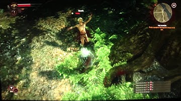 The Witcher 2 Playthrough Part 25 (HD)