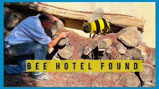 Bumblebees Live with Honeybees In Our Vegetable Garden 🐝 SEE How to Make a Bumble Bee Hotel Nest  🐝