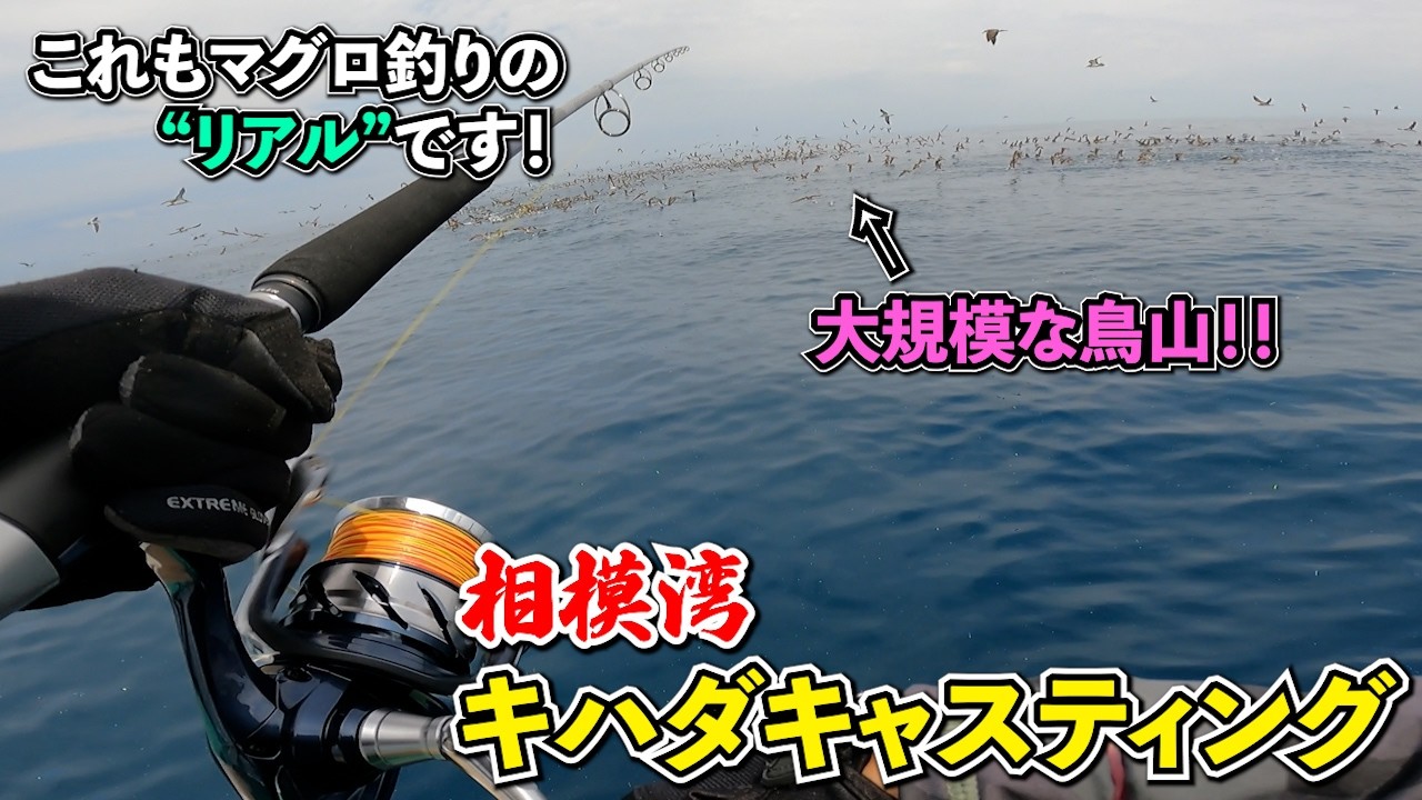 相模湾キハダキャスティングの“リアル”をお届け！この夏、マグロを追った熱き４日間！！