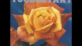 Turbostaat - Holland in Not