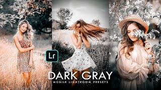 Download Lagu Lightroom dark effect photo editing tutorial | Dark Gray Photo Editing | Dark tone photography MP3