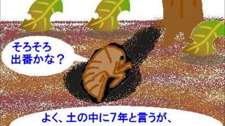アニメ セミの一生 Youtube アニメ セミの一生 Youtube