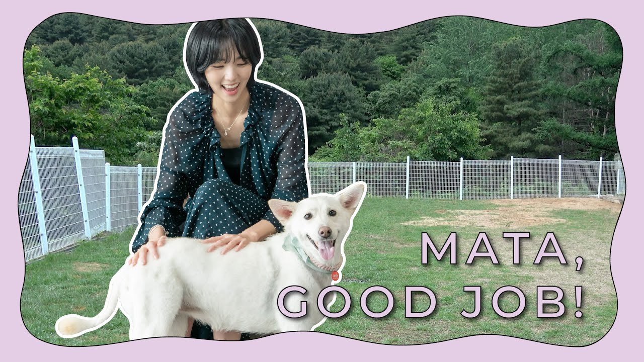 (EN) 마라탕 말고 마타랑 야외 공부😂