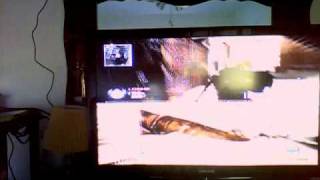 Capture_20110129_4.wmv