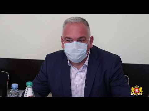 გერმანიის ელჩი ბოლნისის მუნიციპალიტეტში