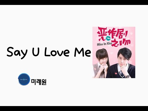 [중국노래]한글가사/해석/자막/병음 양심이,왕위등(梁心颐,王威登)의 Say U Love Me