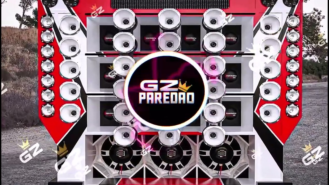 CD FORROZINHO PRA PAREDÃO 2025 NOVO ANAILSON PRODUÇÕES  E DUDU BATIDÃO ALTA QUALIDADE #piseiro