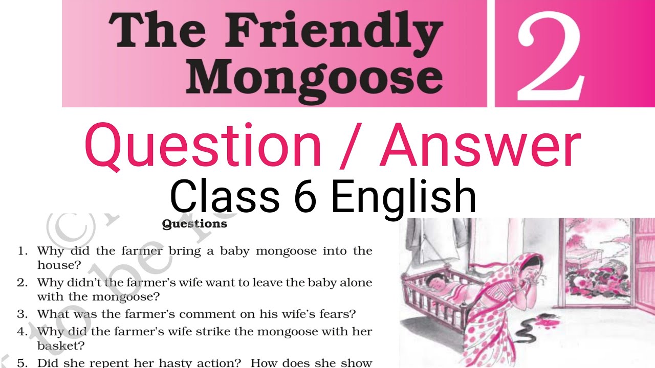 Class 6 English Chapter 2 Question Answer class 6 The Friendly Mongoose