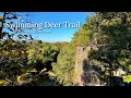 Solo Hiking Swimming Deer Trail St. Francois State Park | Hiking Missouri