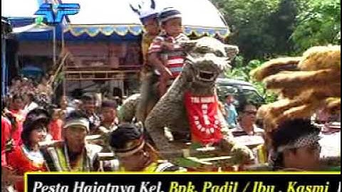 7 Pecak Welut Naga Dangdut Trinanda Muda