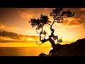 30 Minute Relaxing Music • Meditation music, Yoga, Spa, Work and Studying Music