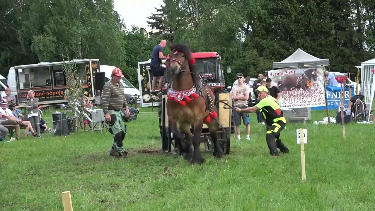 Rumor, desiate miesto vo váhovej kategórii 750 - 900kg! (Kľačianska podkova 2024)