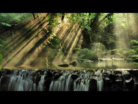 nhac hoa tau khong quang cao tại Xemloibaihat.com