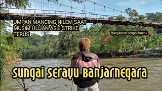 SERING BONCOSs SAAT MANCING OMBYOK ? PAKAI UMPAN RACIKAN INI DIJAMIN FULL STRIKE SAMPAI LEMAS
