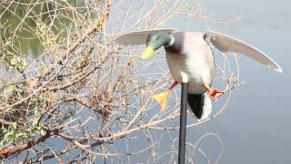 Flapping Wings Duck Decoy