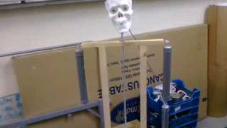3 Axis skull