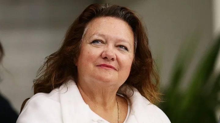 Gina Rinehart's name and company 'dragged through ...