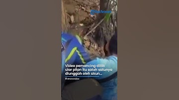 VIRAL! DETIK-DETIK Penyelamatan Pemancing yang Terlilit Ular Piton: Tanganku Nyaris Mati Rasa