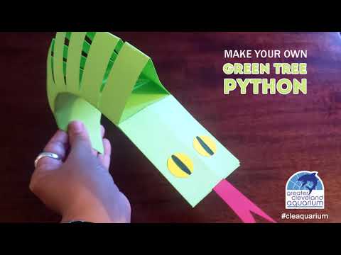 How to Make Your Own Green Tree Python