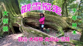 觀雪縱走(觀霧-大板根-北坑山-雪見)
