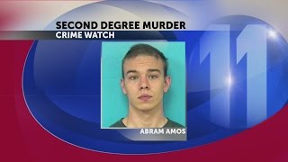 Man pleads guilty to charges in 2015 murder case, sentenced to 20 years