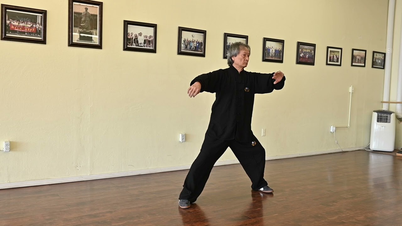 A Lifetime of ChenTaiChi Technique Demo  EP 37