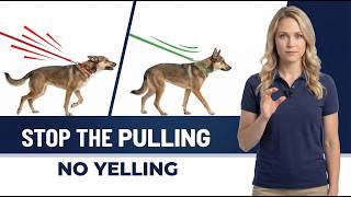 Stop Leash Pulling Without Yelling: 3 Humane Fixes That Actually Work