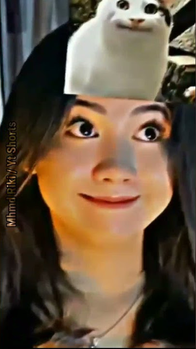 Filter Meme Cat Meresahkan - Jedag jedug Cewek Tiktok Berdamage! #shorts