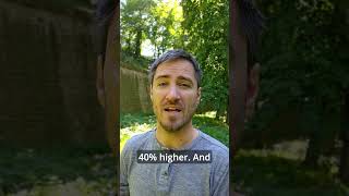 Manifesting your Dreams? - A Path to Success or Just Wishful Thinking?