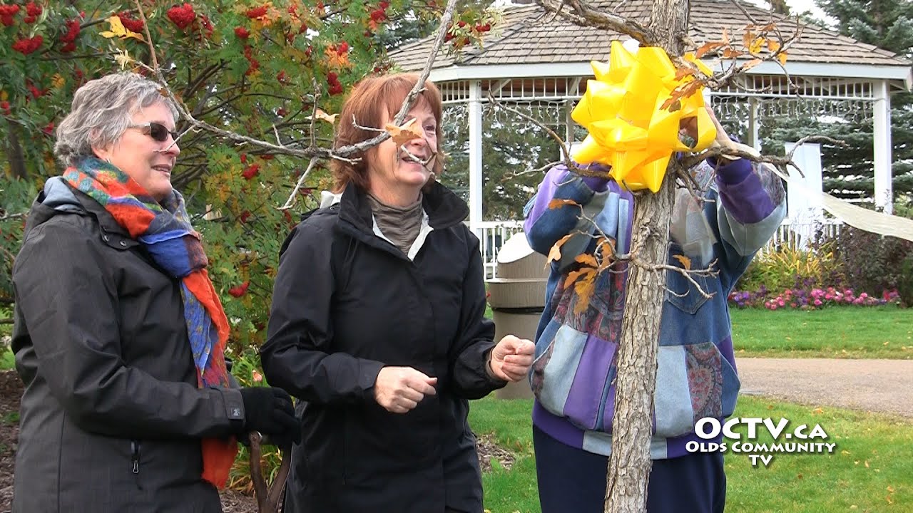 Oak tree planted as symbolic beginning of Olds Institute Community Legacy Fund