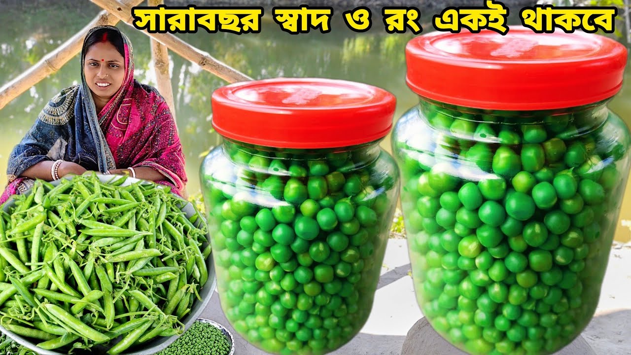 মটরশুঁটি এইভাবে সংরক্ষণ করলে সারাবছর ভালো থাকবে আর রান্নাও করা যাবে ও মটরশুঁটির খোসা বাটা রেসিপি