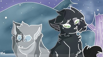 Poor Thing || Ashfur & Hollyleaf MAP Part 4