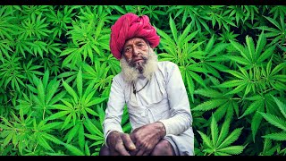 New World Gameplay - Hemp Day 1