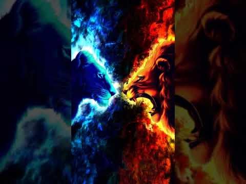 1hour of fight till the end by Shangri-La