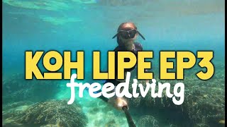 Freediving At Koh Lipe Ep3 Underwater Breathholding Gopro9 Underwater Shot