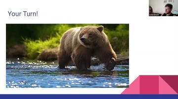 Module 2: From Striving to Thriving: Writers Lesson and Reflection with Focus on Engagement