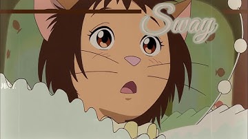 AMV The Cat Returns // Sway