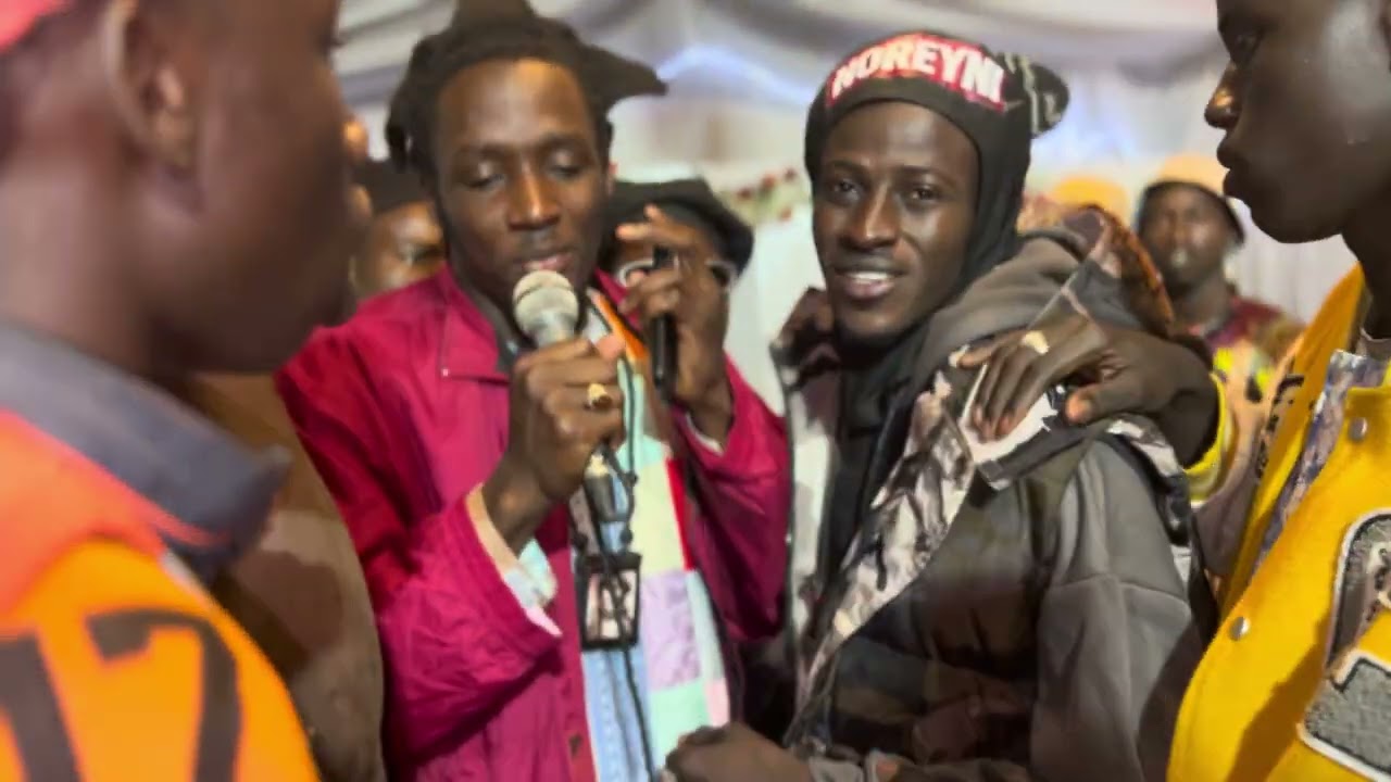 Thiant Magal Darou chicory 2026🚩🏴